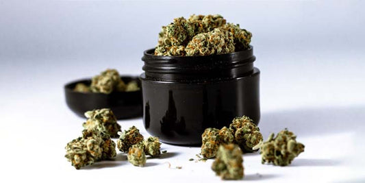 How to cure Cannabis?