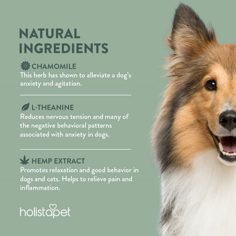 Holistapet CBD Calming Chews For Dogs